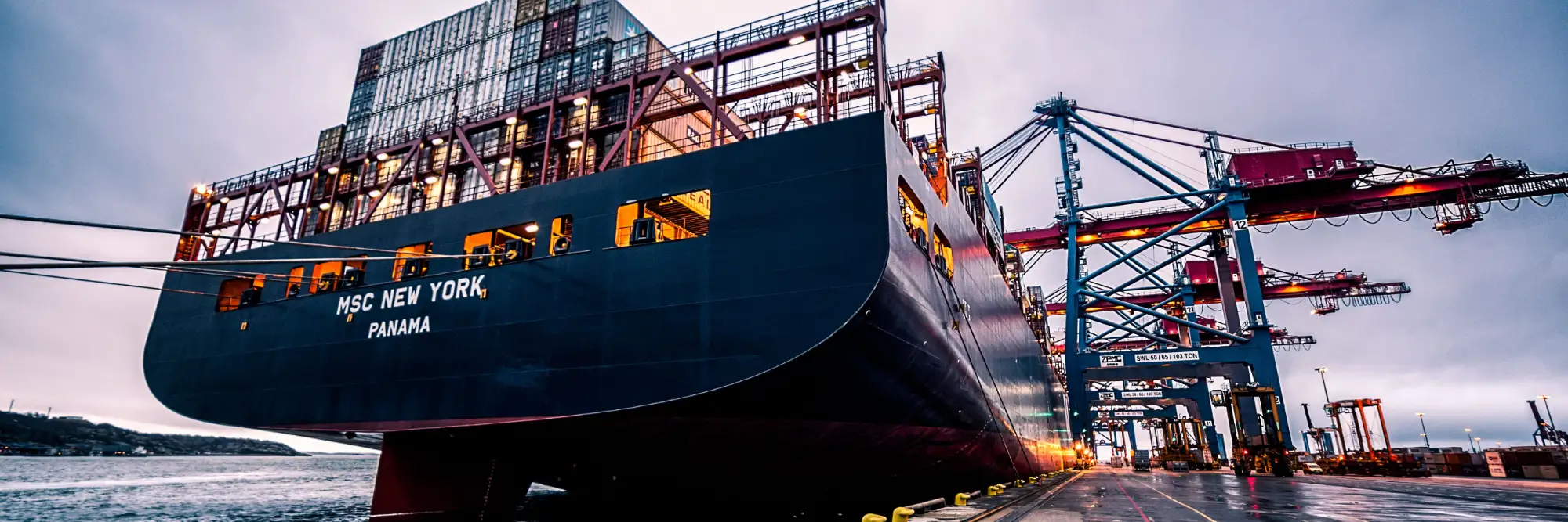 The container ship MSC New York alongside at a container terminal, gantry cranes working the deck.